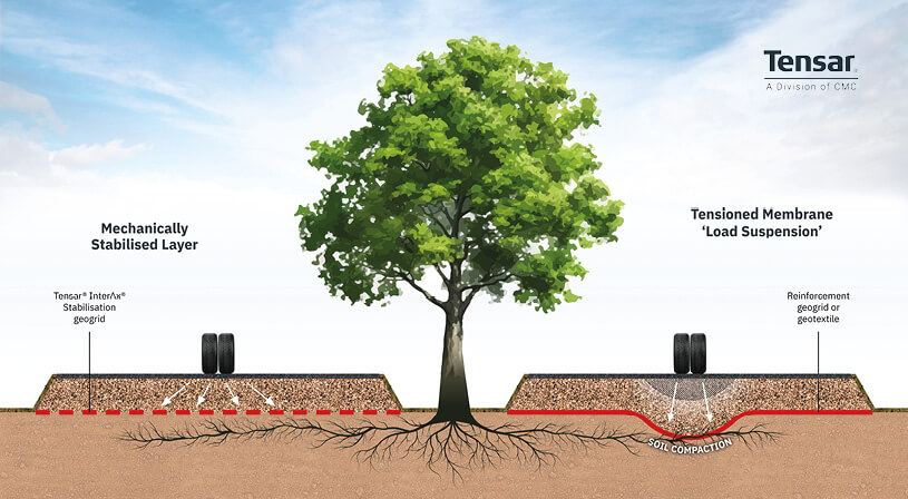 Tree-Root-Blog-Graphic-2-(1).jpg Tree-Root-Blog-Graphic-2-(1).jpg