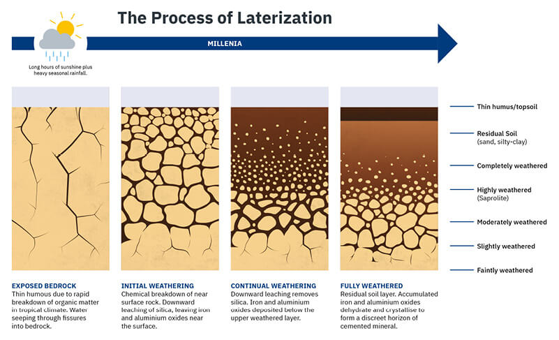 laterization-process-infographic-(2)-(1).jpg