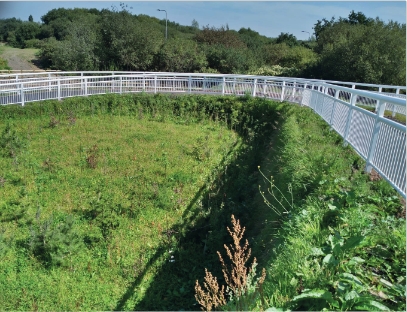 A484 Footbridge using TensarTech Greenslope System image